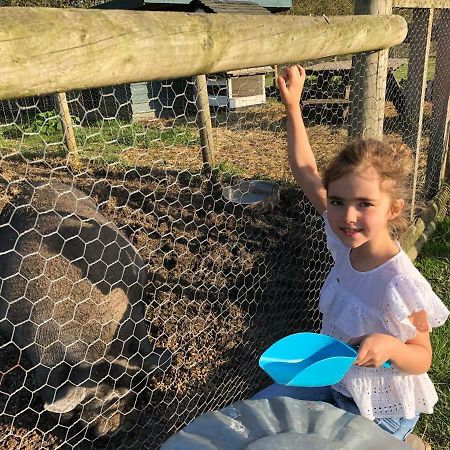 Willow Court Farm Studio South & Petting Farm, 8 Mins From Legoland & Windsor, 15 Mins From Lapland Uk ภายนอก รูปภาพ