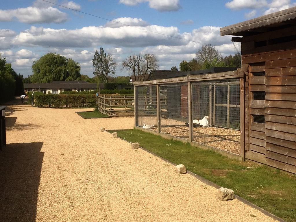 Willow Court Farm Studio South & Petting Farm, 8 Mins From Legoland & Windsor, 15 Mins From Lapland Uk ภายนอก รูปภาพ
