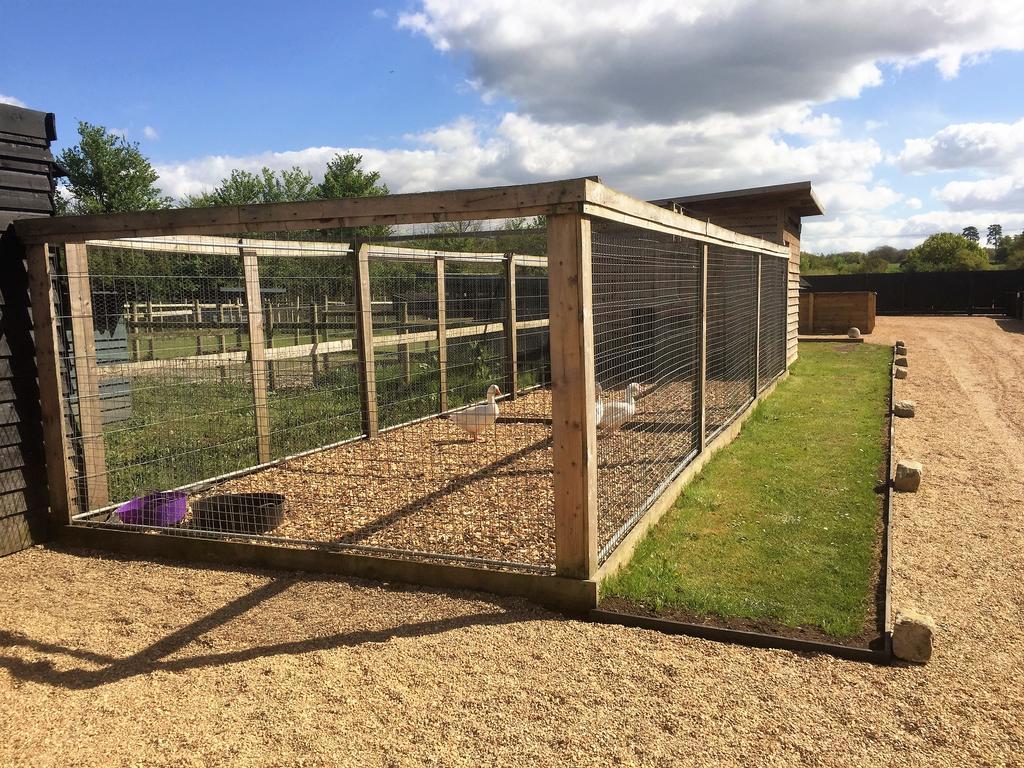 Willow Court Farm Studio South & Petting Farm, 8 Mins From Legoland & Windsor, 15 Mins From Lapland Uk ภายนอก รูปภาพ
