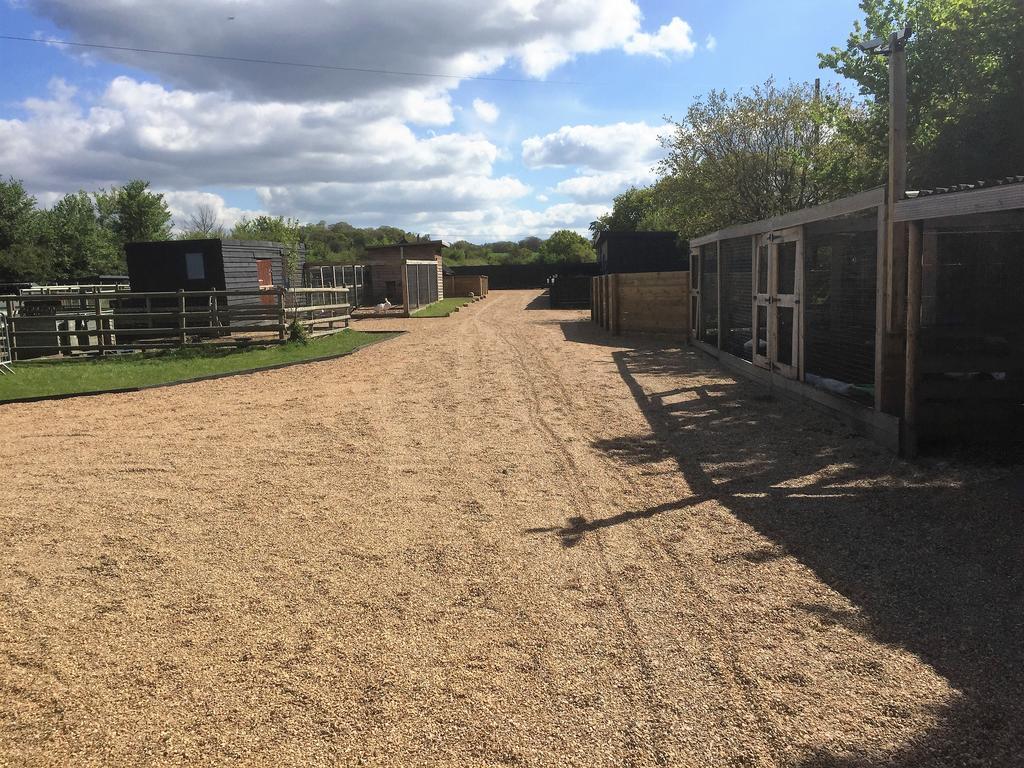 Willow Court Farm Studio South & Petting Farm, 8 Mins From Legoland & Windsor, 15 Mins From Lapland Uk ภายนอก รูปภาพ