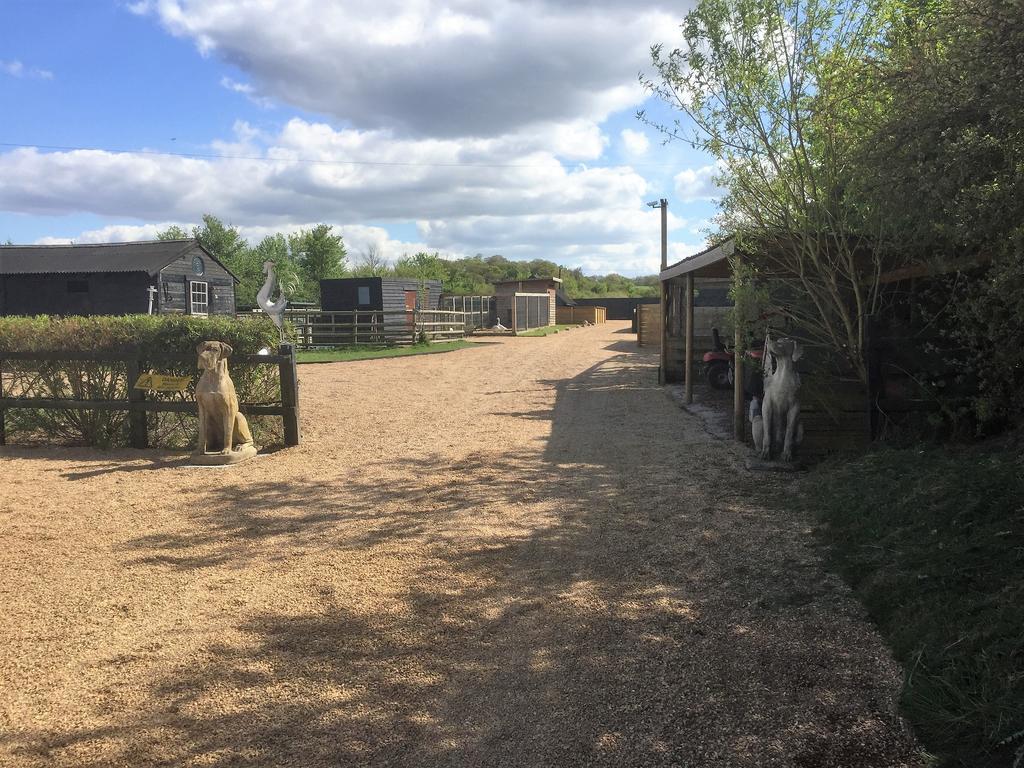 Willow Court Farm Studio South & Petting Farm, 8 Mins From Legoland & Windsor, 15 Mins From Lapland Uk ภายนอก รูปภาพ