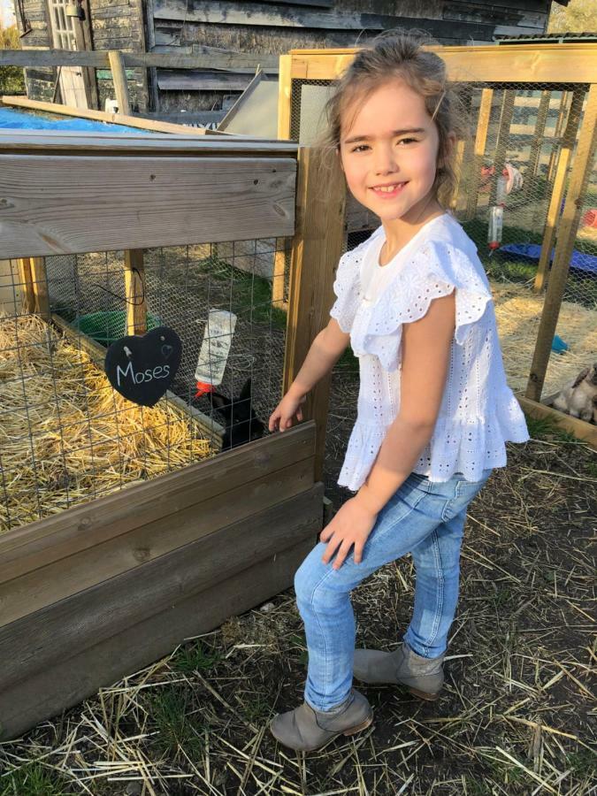 Willow Court Farm Studio South & Petting Farm, 8 Mins From Legoland & Windsor, 15 Mins From Lapland Uk ภายนอก รูปภาพ